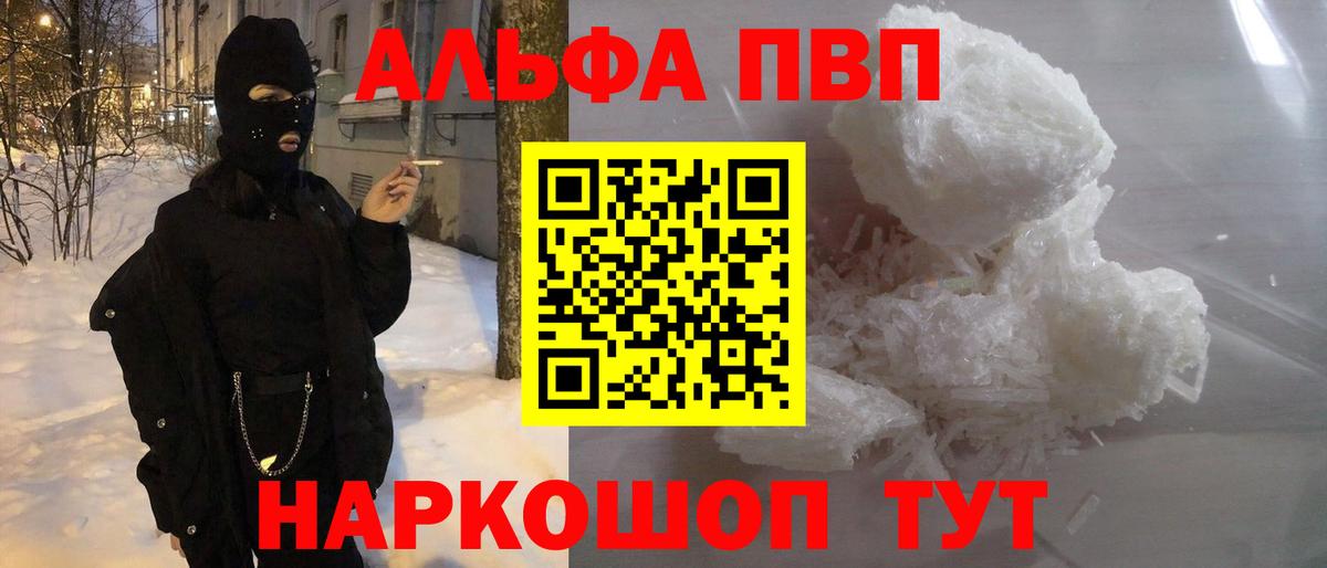 Альфа ПВП СК КРИС Губкинский