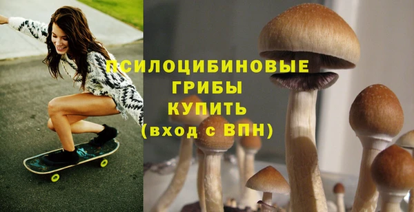 ГАЛЛЮЦИНОГЕННЫЕ ГРИБЫ Балабаново