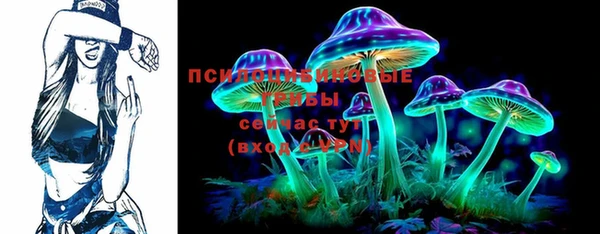 ГАЛЛЮЦИНОГЕННЫЕ ГРИБЫ Балабаново