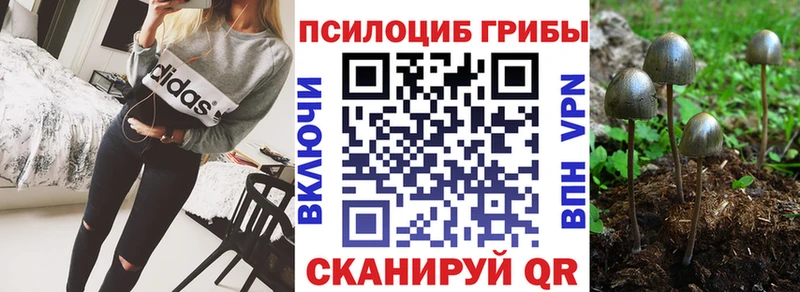 Галлюциногенные грибы мицелий  дарнет шоп  Губкинский 