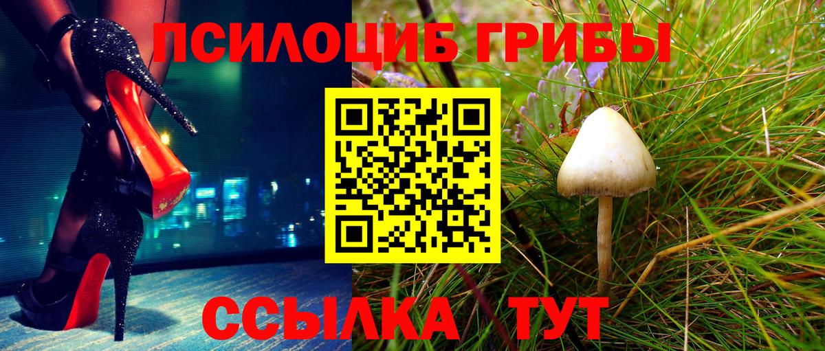 Каннабис Губкинский
