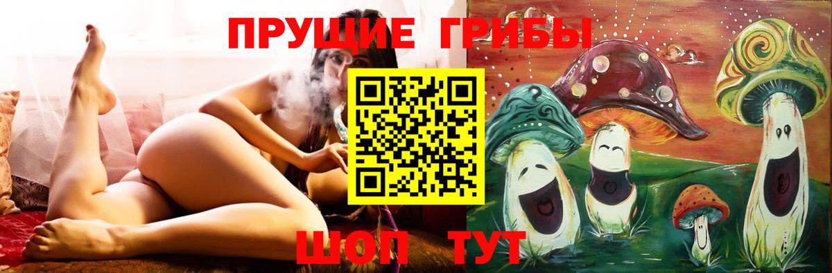 Псилоцибиновые грибы GOLDEN TEACHER Губкинский